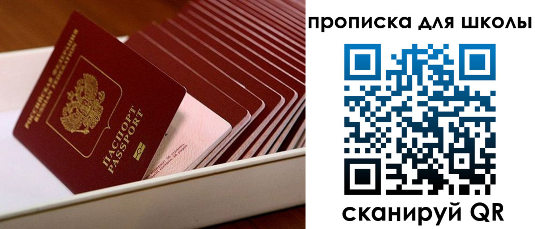временная регистрация гарантия в Солнечногорске